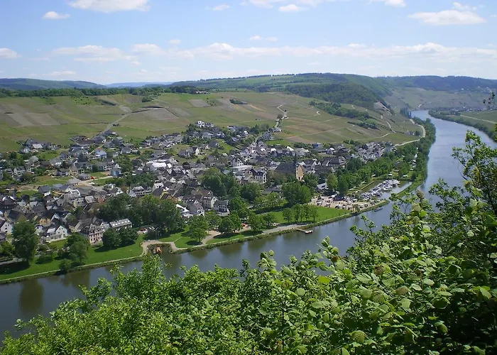 Ferienwohnung In Vino Veritas Appartement