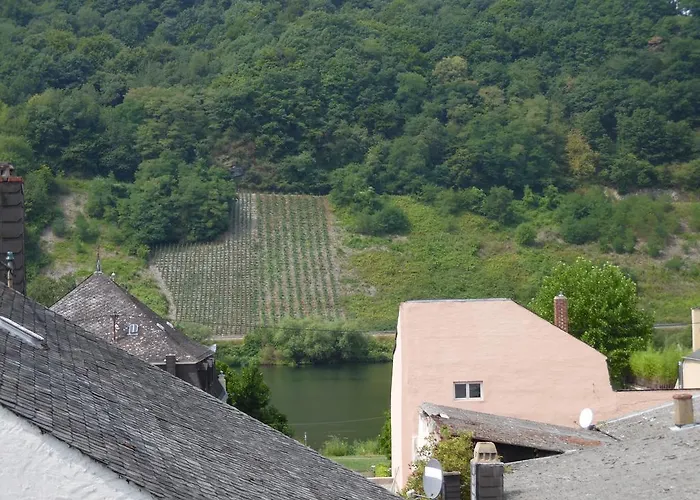 Appartement Ferienwohnung In Vino Veritas Neumagen-Dhron